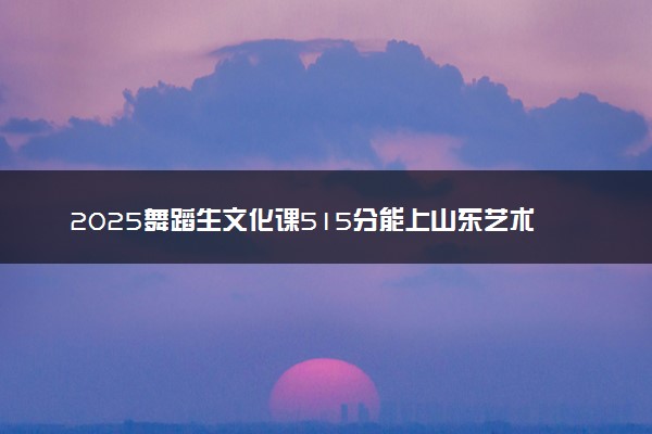 2025舞蹈生文化课515分能上山东艺术学院吗