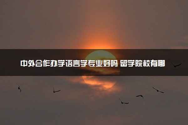 中外合作办学语言学专业好吗 留学院校有哪些