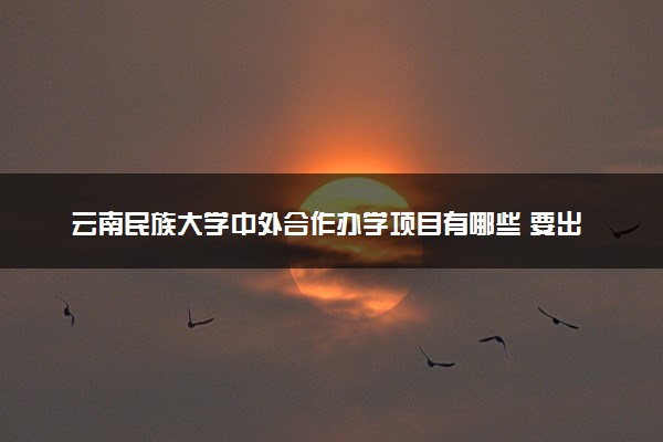 云南民族大学中外合作办学项目有哪些 要出国吗