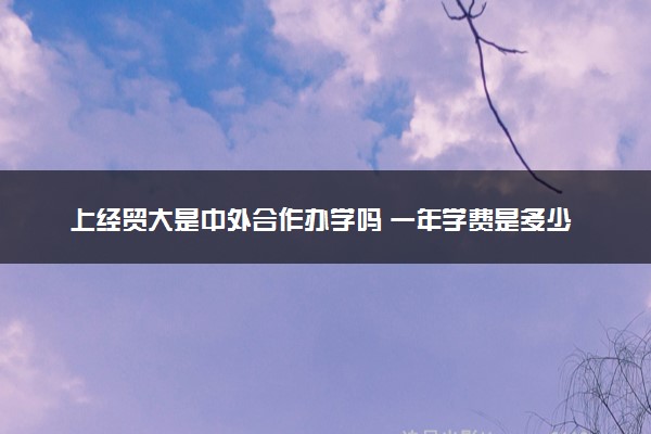 上经贸大是中外合作办学吗 一年学费是多少