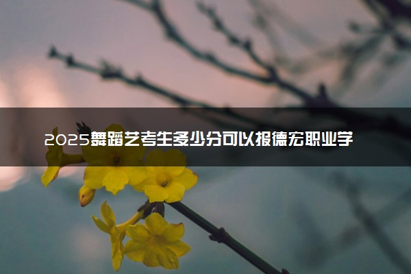 2025舞蹈艺考生多少分可以报德宏职业学院