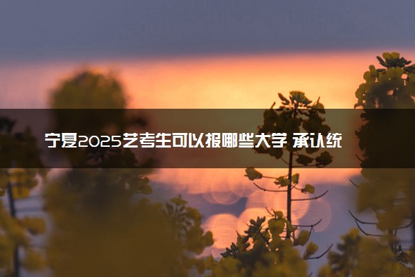 宁夏2025艺考生可以报哪些大学 承认统考/联考成绩的院校