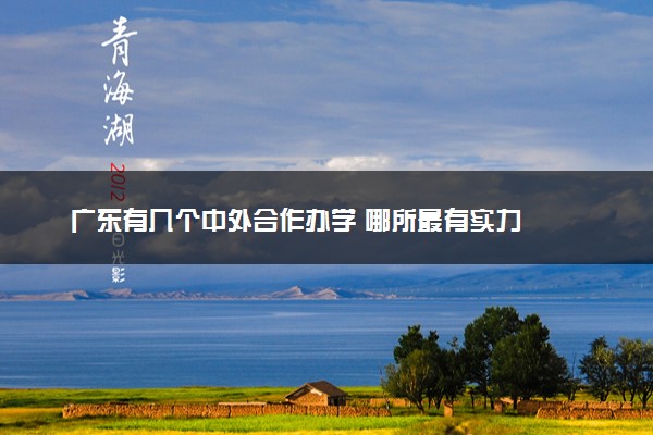 广东有几个中外合作办学 哪所最有实力
