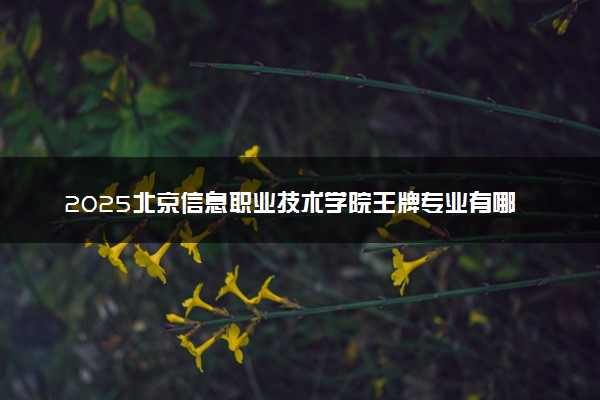 2025北京信息职业技术学院王牌专业有哪些 最好的专业是什么