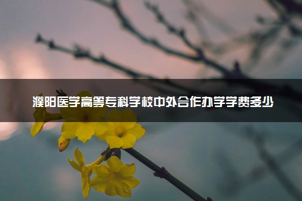 濮阳医学高等专科学校中外合作办学学费多少钱 各专业收费标准