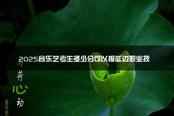 2025音乐艺考生多少分可以报延边职业技术学院