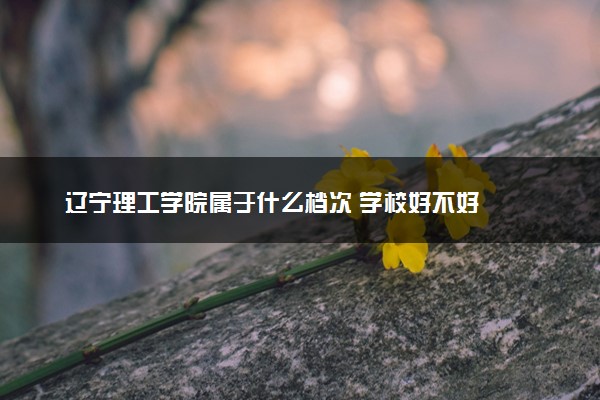 辽宁理工学院属于什么档次 学校好不好