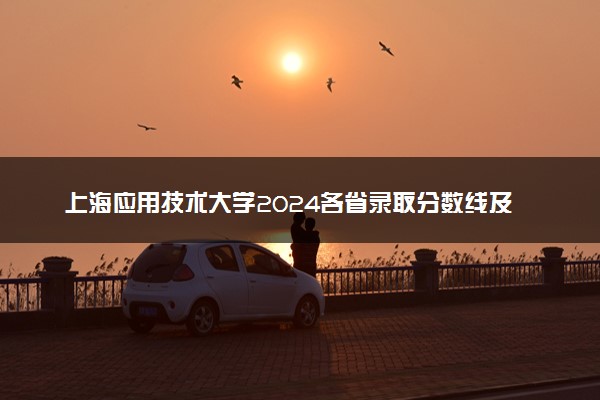 上海应用技术大学2024各省录取分数线及最低位次是多少