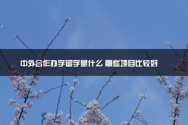 中外合作办学留学是什么 哪些项目比较好