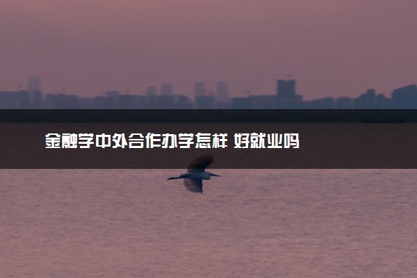 金融学中外合作办学怎样 好就业吗