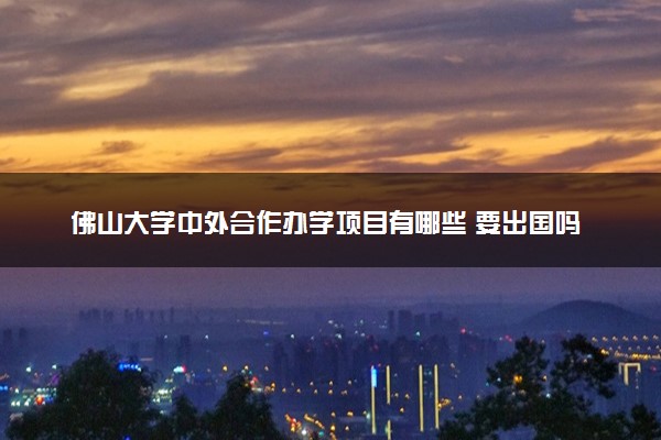 佛山大学中外合作办学项目有哪些 要出国吗