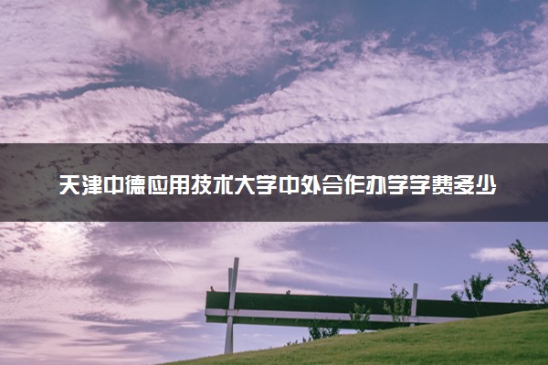 天津中德应用技术大学中外合作办学学费多少钱 各专业收费标准