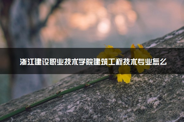 浙江建设职业技术学院建筑工程技术专业怎么样 录取分数线多少