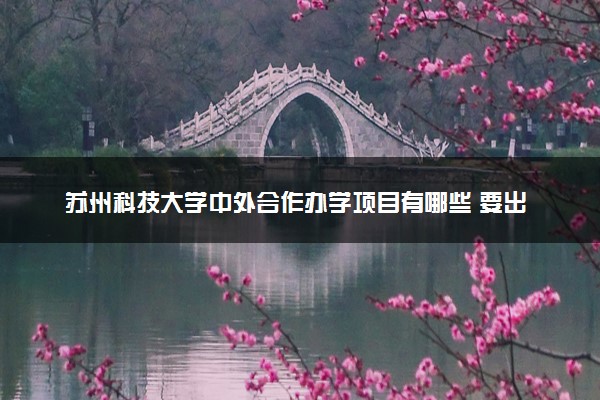 苏州科技大学中外合作办学项目有哪些 要出国吗