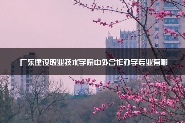 广东建设职业技术学院中外合作办学专业有哪些 好就业吗