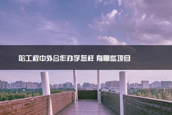 哈工程中外合作办学怎样 有哪些项目