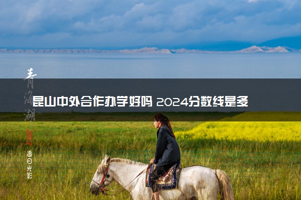昆山中外合作办学好吗 2024分数线是多少