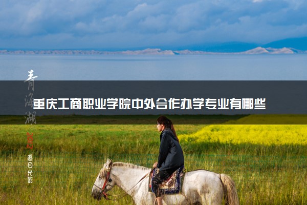 重庆工商职业学院中外合作办学专业有哪些 好就业吗