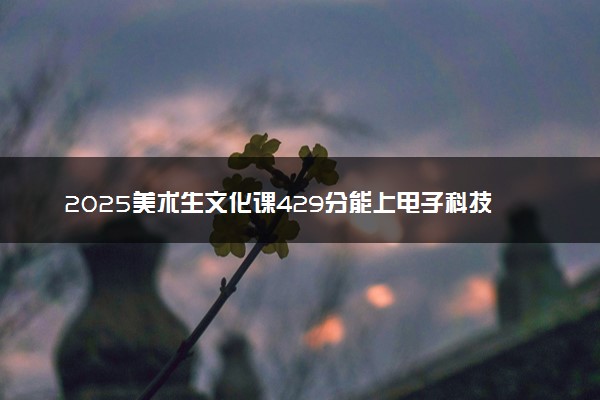 2025美术生文化课429分能上电子科技大学成都学院吗