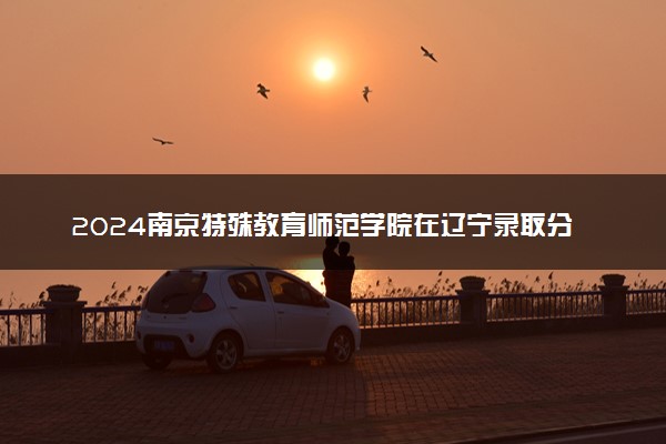 2024南京特殊教育师范学院在辽宁录取分数线 各专业分数及位次