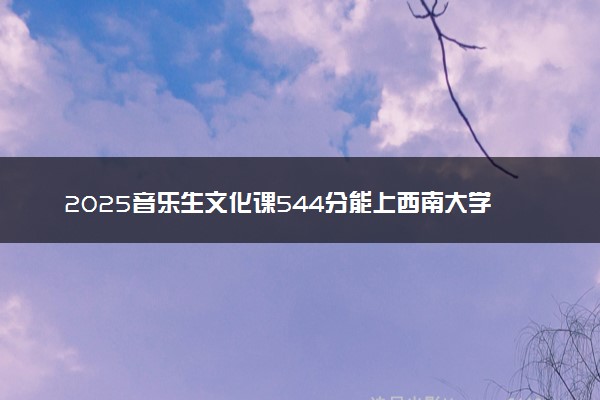 2025音乐生文化课544分能上西南大学吗