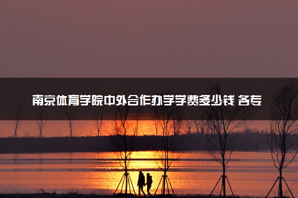 南京体育学院中外合作办学学费多少钱 各专业收费标准