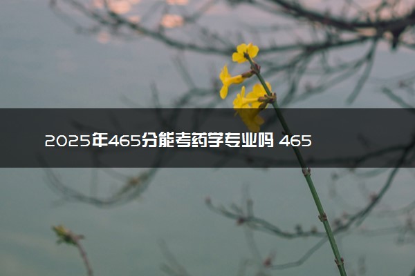 2025年465分能考药学专业吗 465分药学专业大学推荐