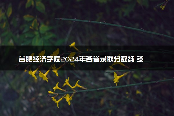 合肥经济学院2024年各省录取分数线 多少分能考上