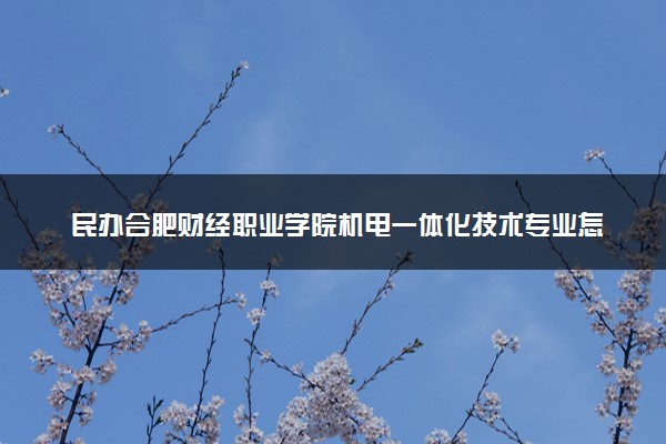民办合肥财经职业学院机电一体化技术专业怎么样 录取分数线多少