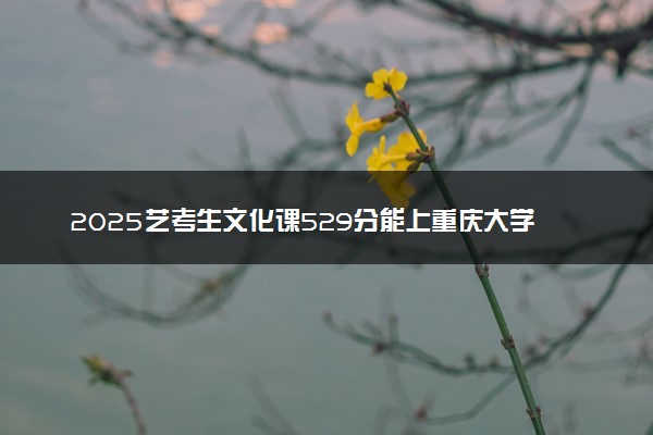 2025艺考生文化课529分能上重庆大学吗
