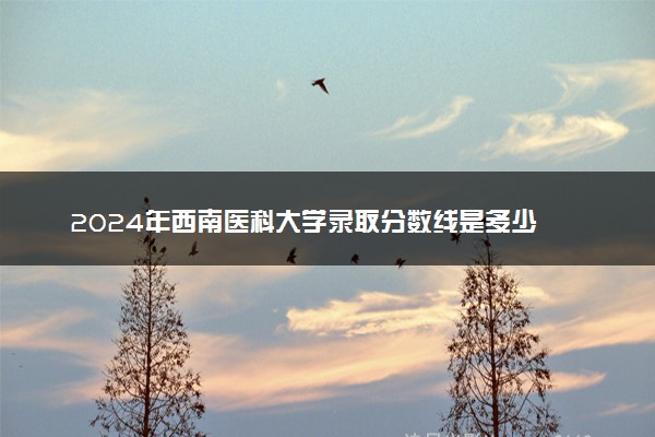 2024年西南医科大学录取分数线是多少 各省最低分数线及位次