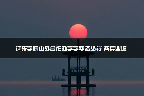 辽东学院中外合作办学学费多少钱 各专业收费标准