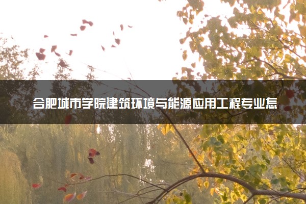 合肥城市学院建筑环境与能源应用工程专业怎么样 录取分数线多少