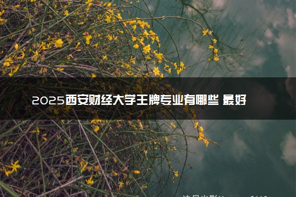 2025西安财经大学王牌专业有哪些 最好的专业是什么