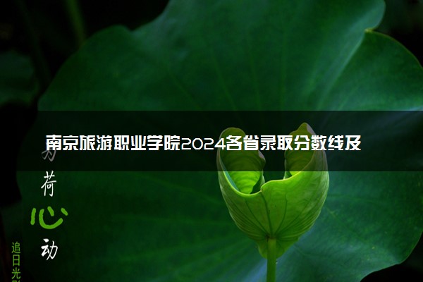 南京旅游职业学院2024各省录取分数线及最低位次是多少