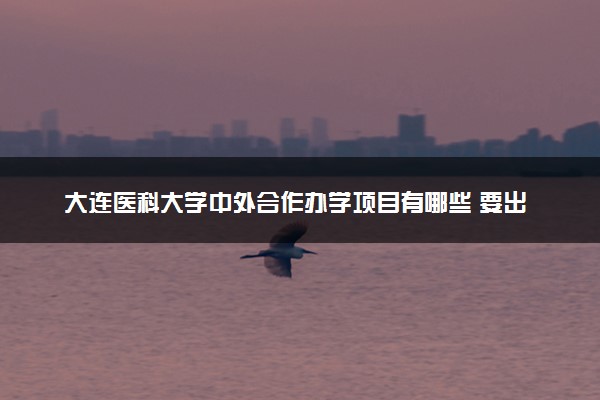 大连医科大学中外合作办学项目有哪些 要出国吗