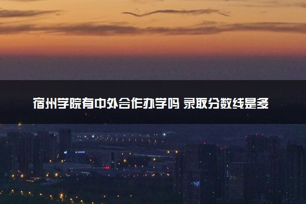 宿州学院有中外合作办学吗 录取分数线是多少