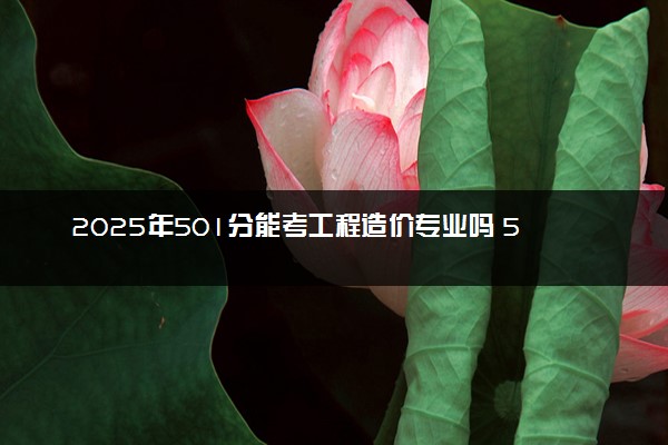 2025年501分能考工程造价专业吗 501分工程造价专业大学推荐