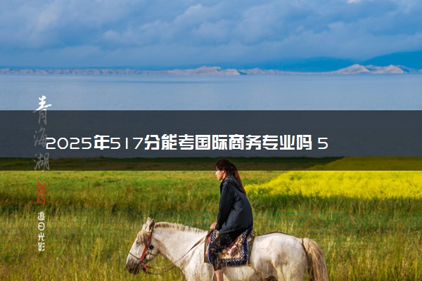 2025年517分能考国际商务专业吗 517分国际商务专业大学推荐