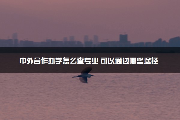 中外合作办学怎么查专业 可以通过哪些途径