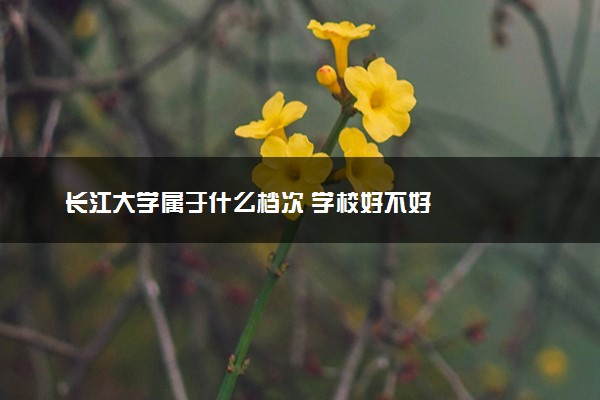 长江大学属于什么档次 学校好不好