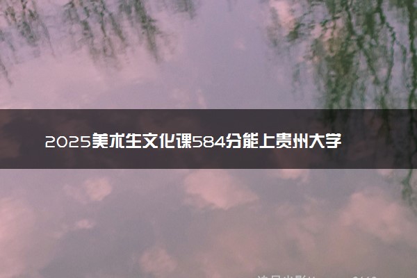 2025美术生文化课584分能上贵州大学吗