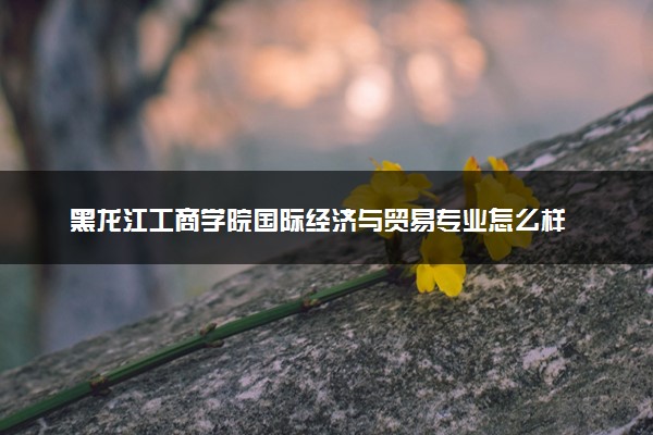黑龙江工商学院国际经济与贸易专业怎么样 录取分数线多少