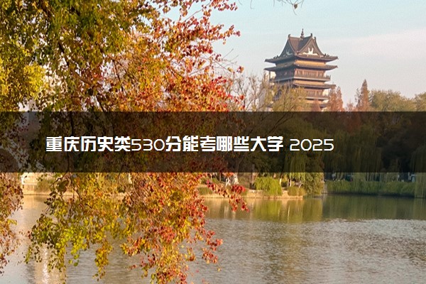 重庆历史类530分能考哪些大学 2025考生稳上的大学名单