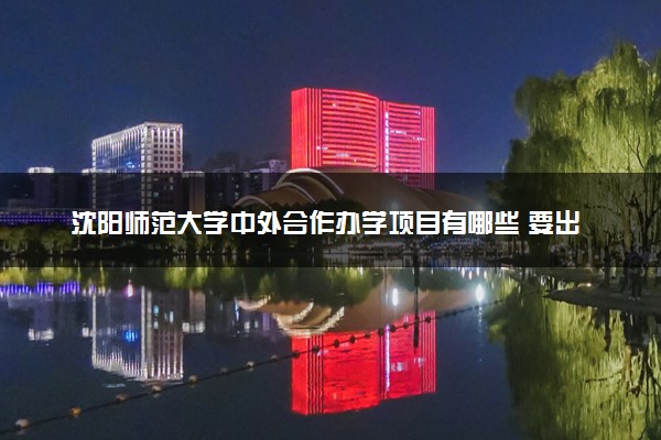 沈阳师范大学中外合作办学项目有哪些 要出国吗