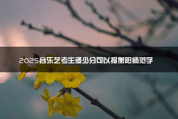 2025音乐艺考生多少分可以报衡阳师范学院南岳学院