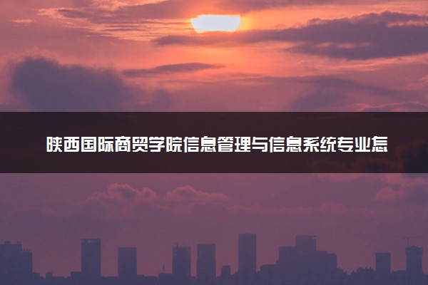 陕西国际商贸学院信息管理与信息系统专业怎么样 录取分数线多少