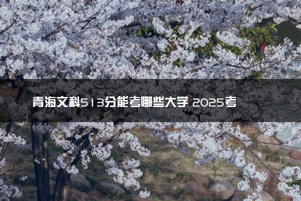 青海文科513分能考哪些大学 2025考生稳上的大学名单