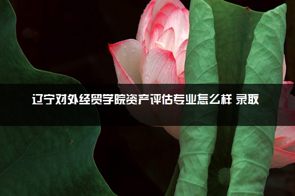 辽宁对外经贸学院资产评估专业怎么样 录取分数线多少
