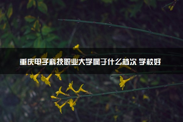 重庆电子科技职业大学属于什么档次 学校好不好